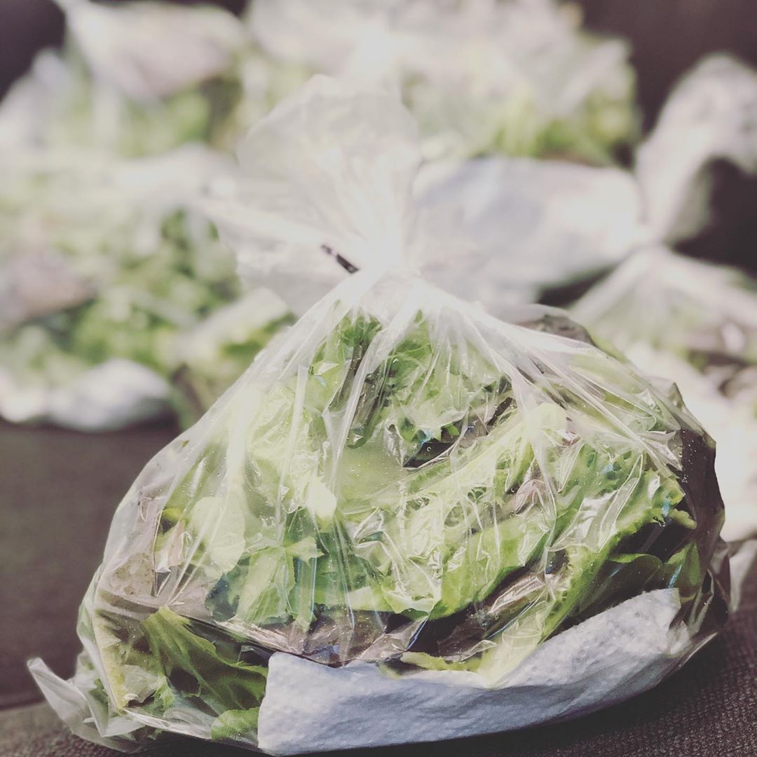 salad greens | Hollar Farms